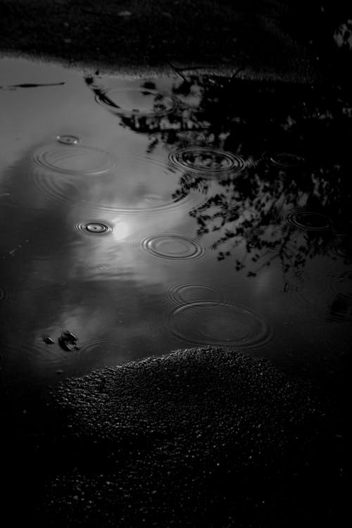 Immagine gratuita di acqua, bianco e nero, gocce di pioggia