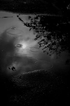 Captivating black and white photo of raindrops creating ripples in a puddle with reflective surface.