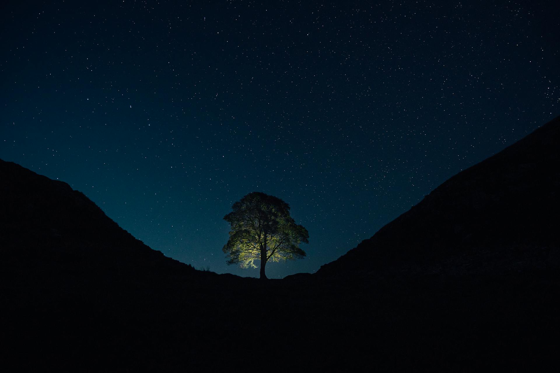 Sycamore Gap Northumberland National Park - Royaume-Uni dans robin des bois princes voleurs princes of thieves