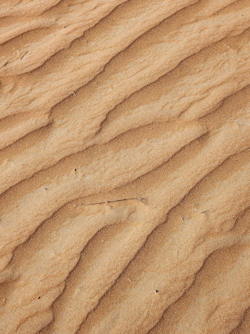 Close up of Cracks on Dry Sand