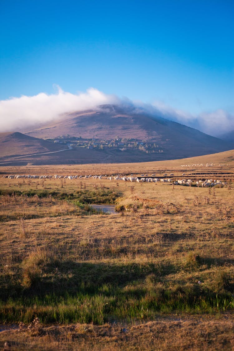 Autumn Rural Landscape