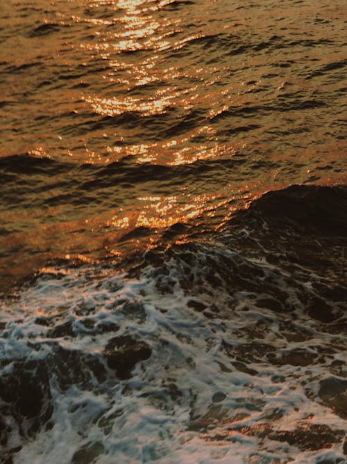 Sunlight Reflecting in Sea during Tide