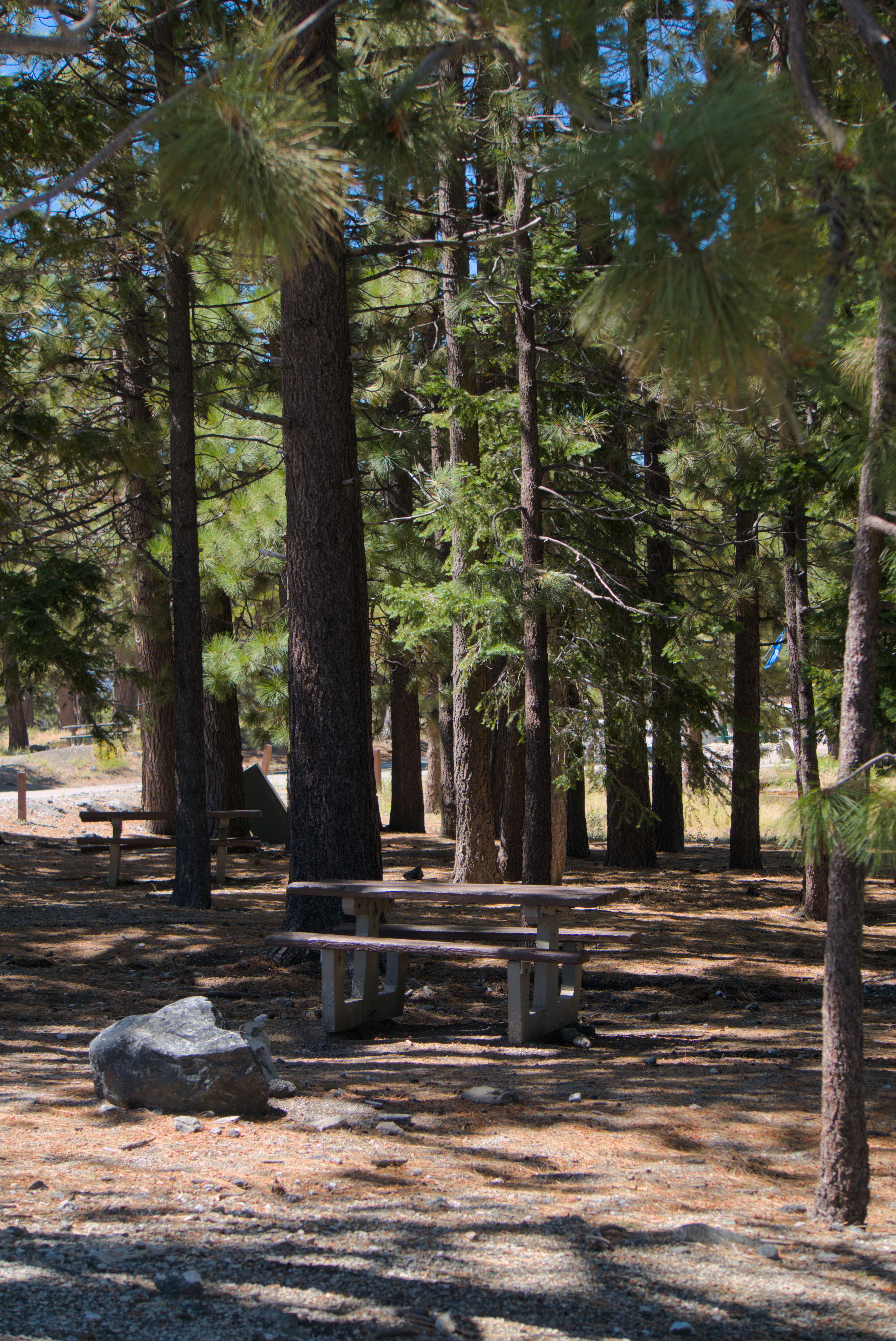 Sunrise over an empty California state park campsite with tent pad and picnic table