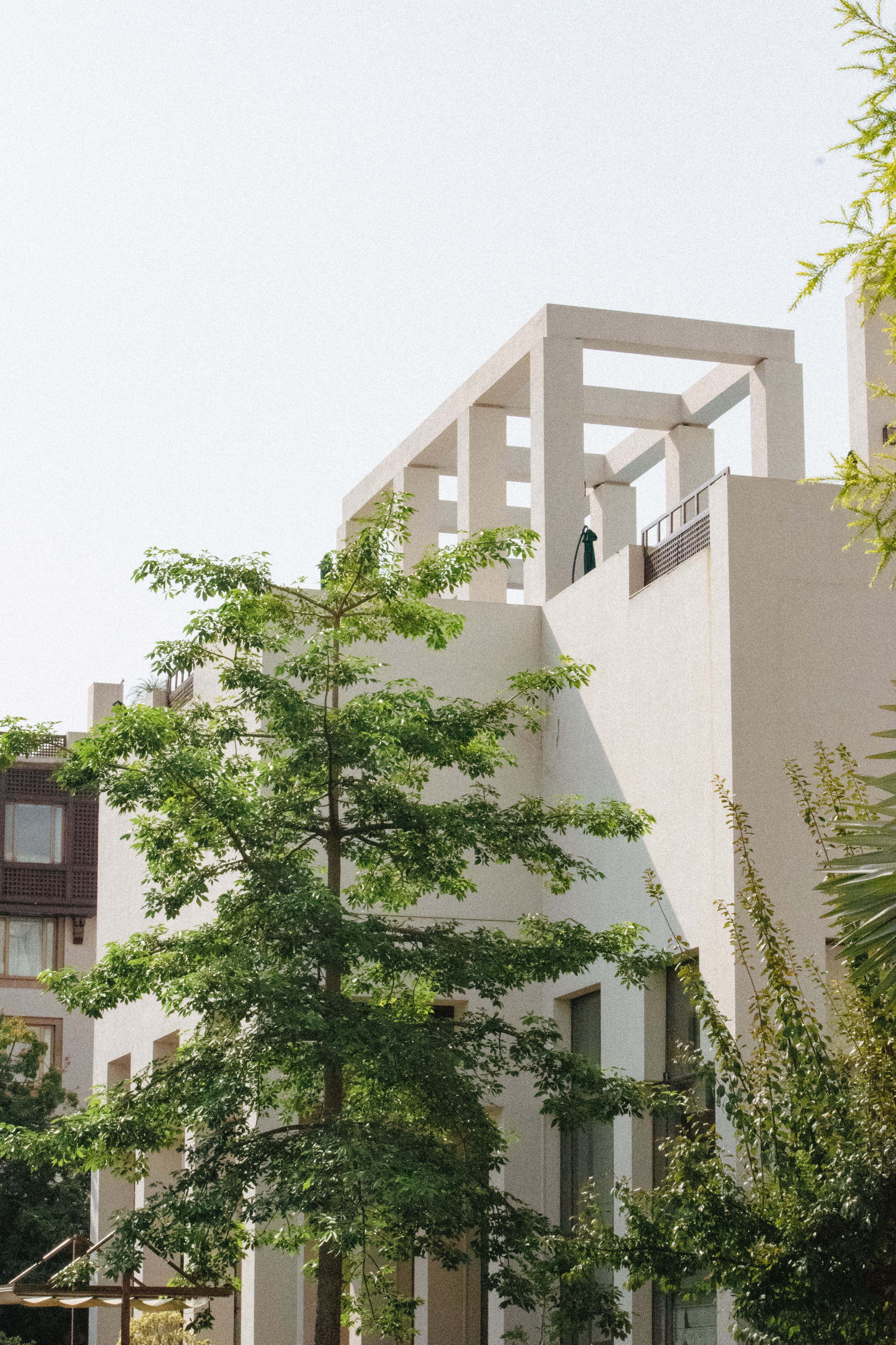 Residential building among trees