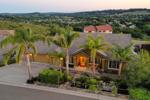Aerial view of a beautiful suburban home surrounded by lush greenery and palm trees.