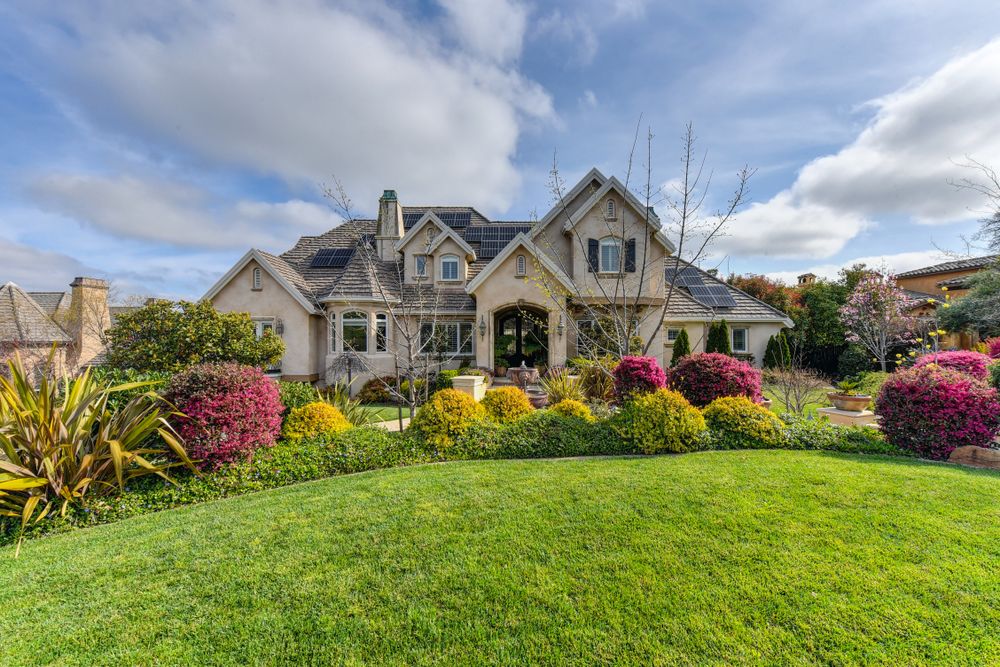 Landscape Design & Installation