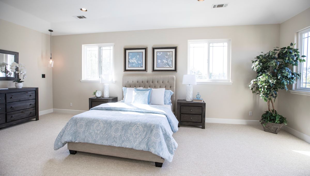 home removals in Darrington — Home Removals in Darrington — the working end of the job