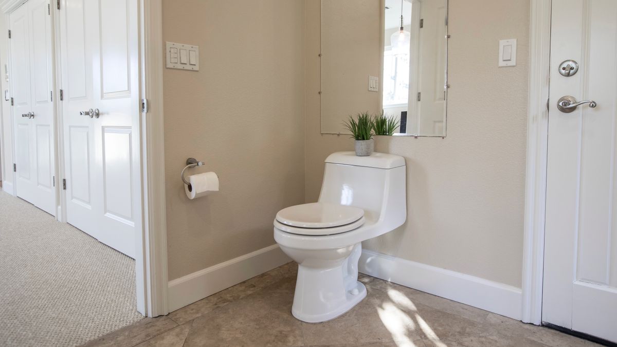 Banheiro claro com vaso sanitário branco, porta-papel na parede e um espelho ao fundo