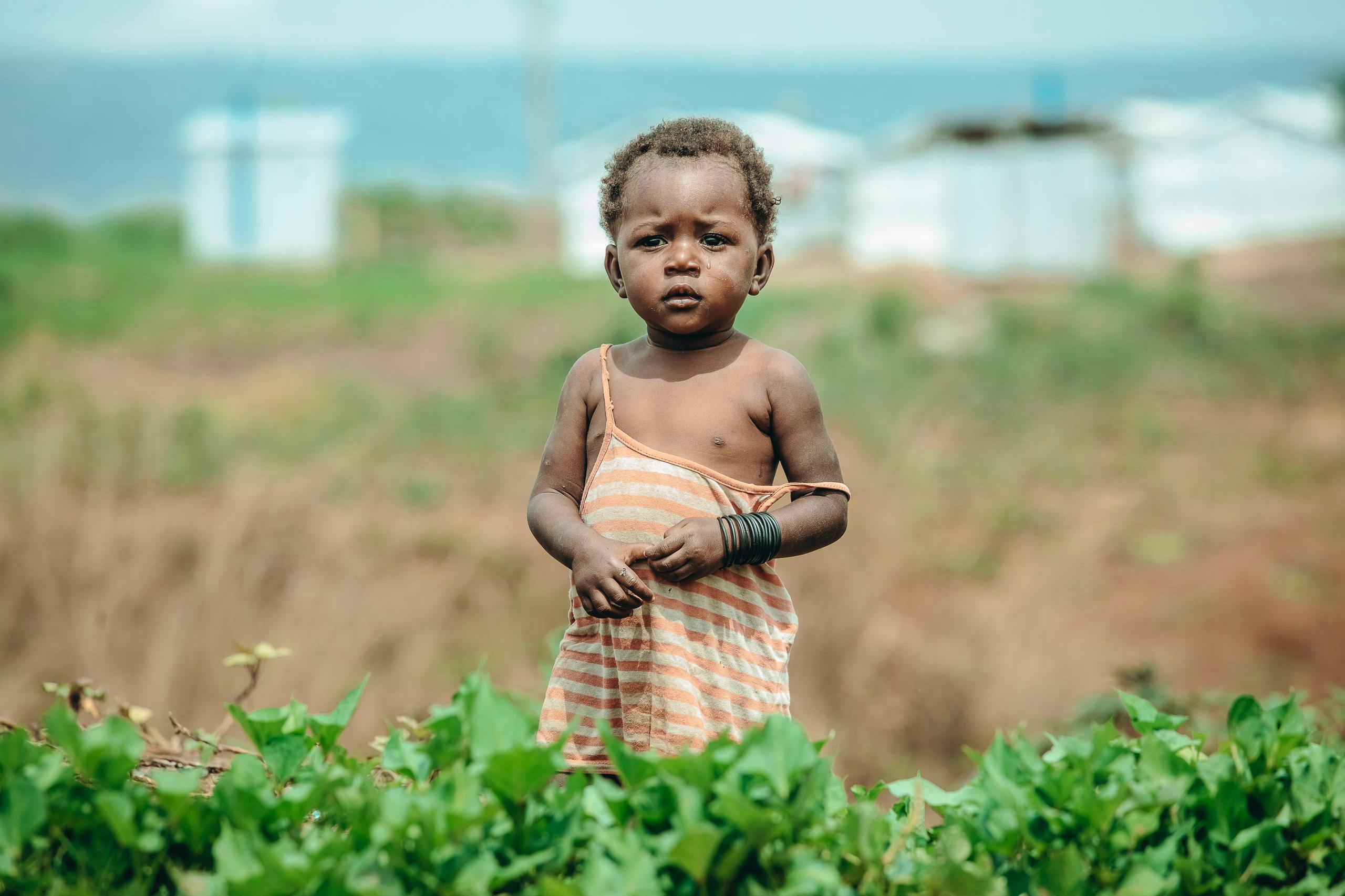 Babero En Silicona Con Recolector Contenedor Bebe Infantil Niño Azul