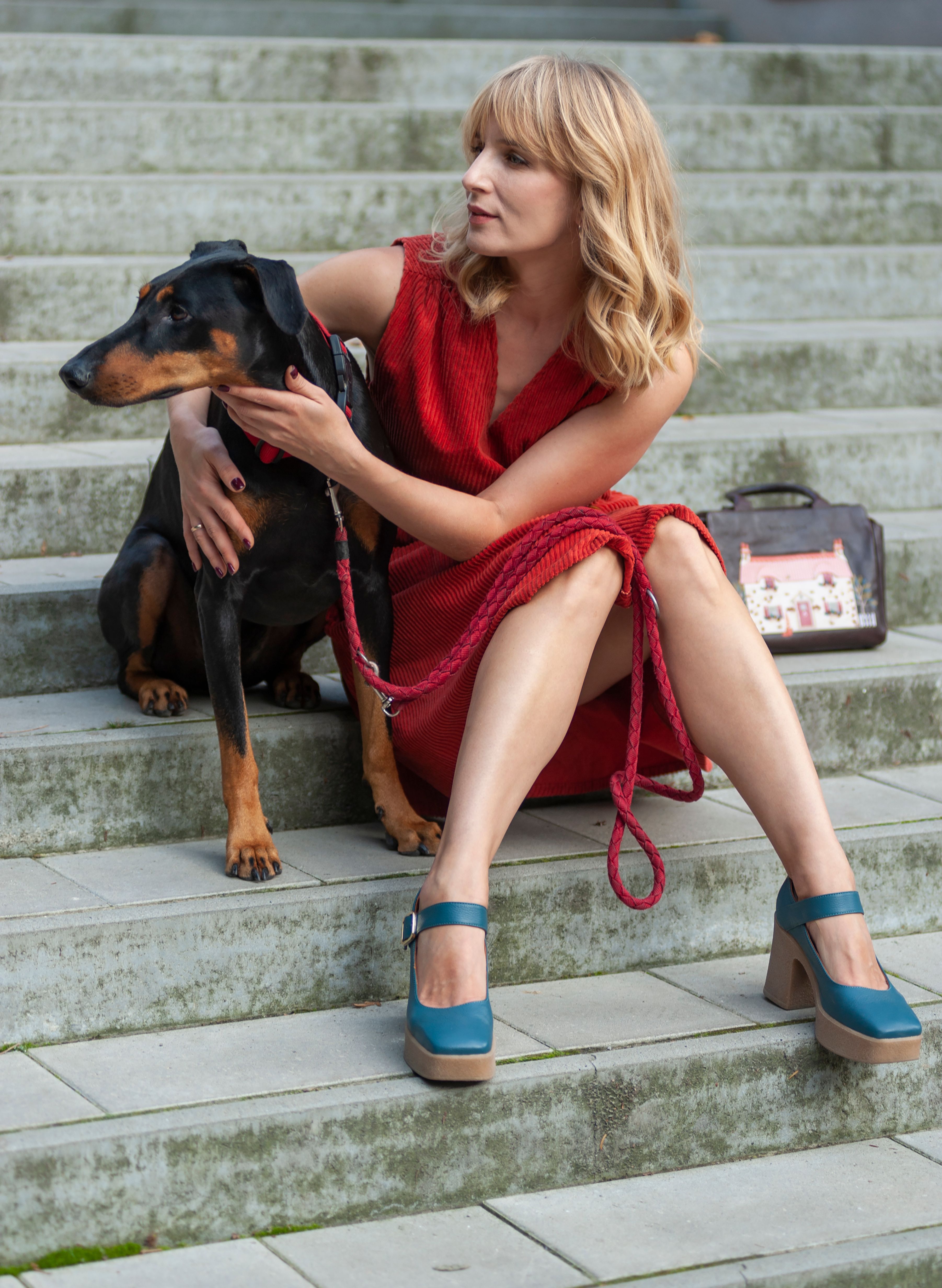 dog-walking-in-heel-photos-download-the-best-free-dog-walking-in-heel