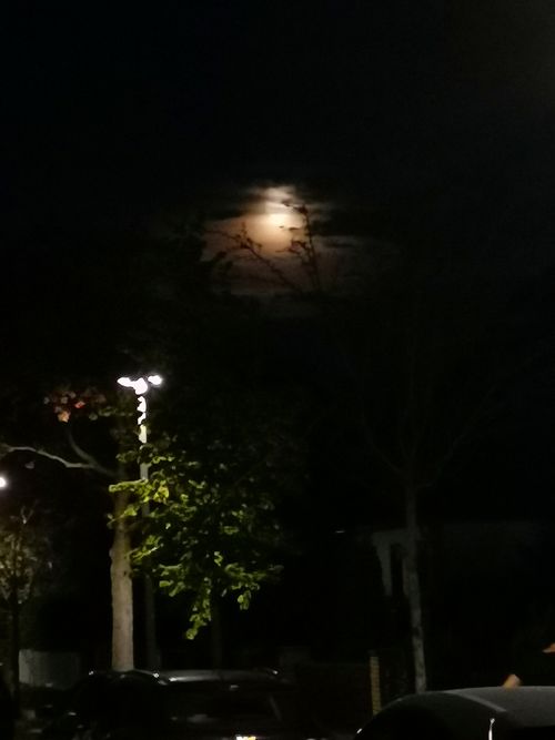 Free Moonlight in the sky Stock Photo