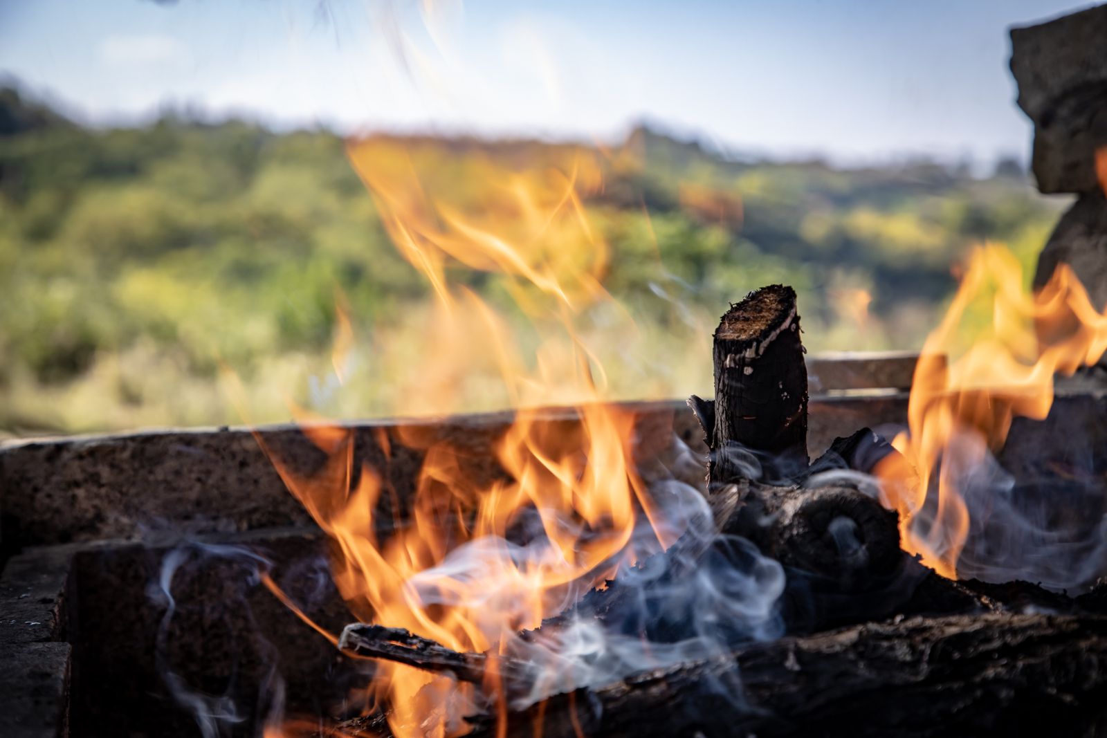 Burning Wood on Fire Pit · Free Stock Photo