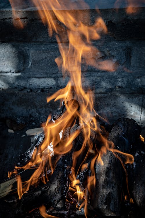 Fotobanka s bezplatnými fotkami na tému atraktívny, drevené uhlie, drevo na oheň