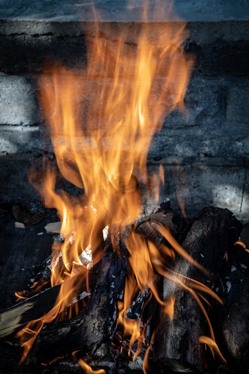 Fotobanka s bezplatnými fotkami na tému atraktívny, drevené uhlie, drevo na oheň