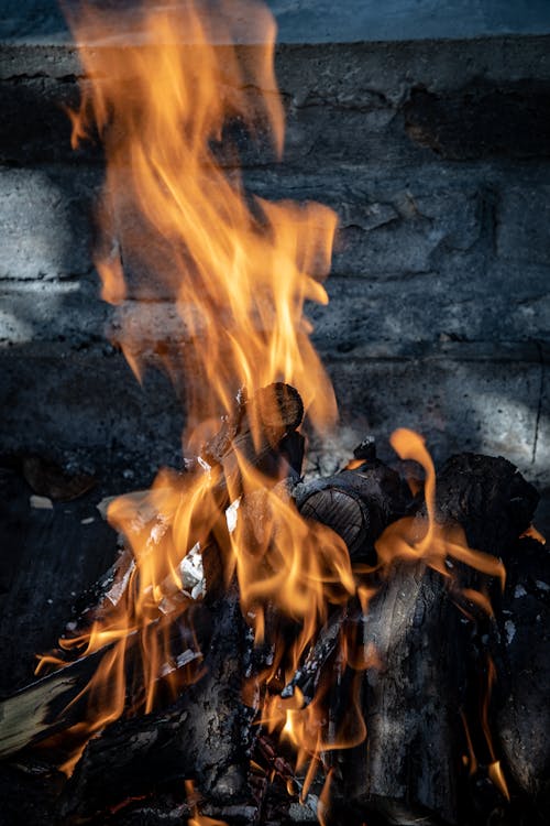 Fotobanka s bezplatnými fotkami na tému atraktívny, drevené uhlie, drevo na oheň