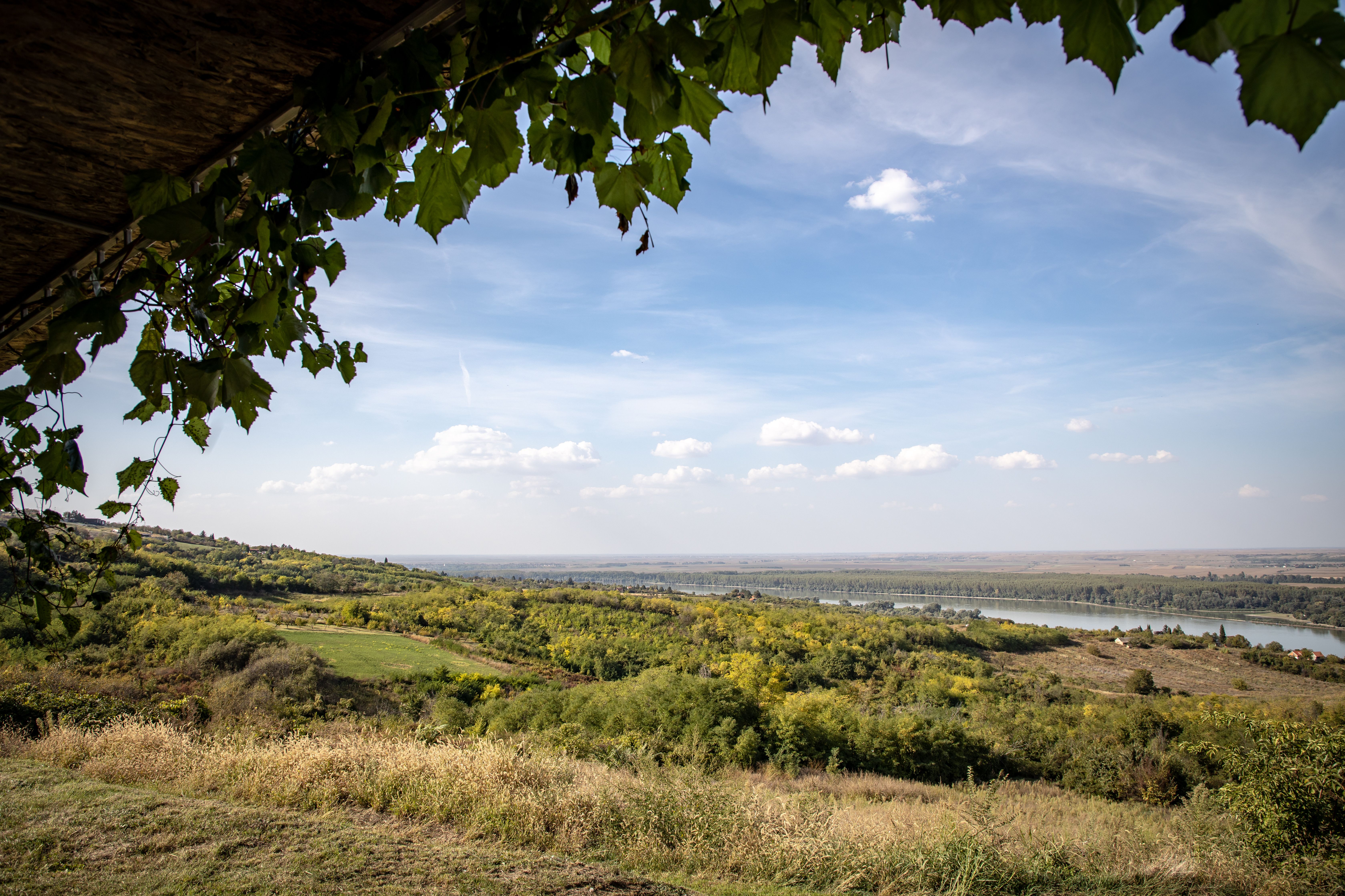 Idyllic summer landscape with a view of fields and a distant lake under a clear blue sky.