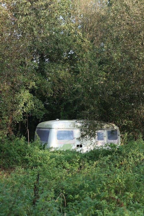 RV Trailer among Trees