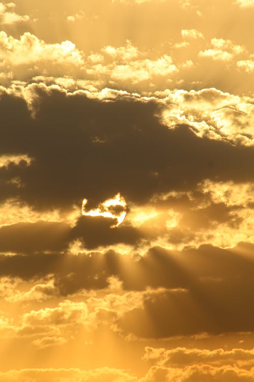 Clouds on Yellow, Sunset Sky