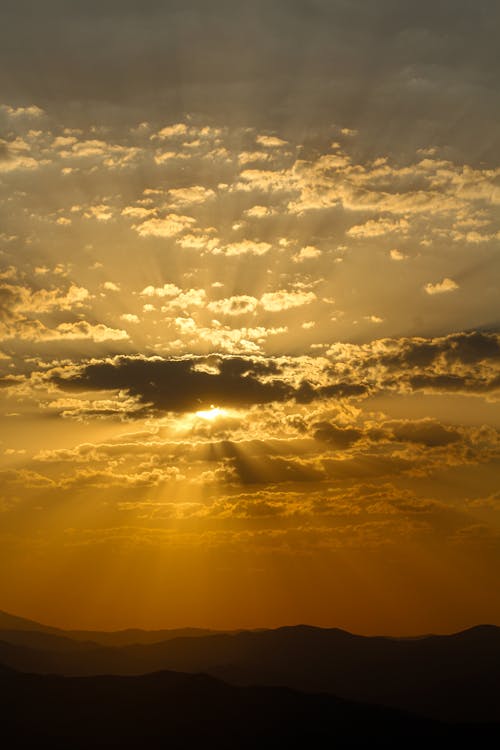 Immagine gratuita di cielo, giallo, luce del sole