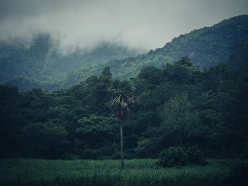 Free Lush greenery with misty hills in Kanchanaburi, Thailand. Stock Photo