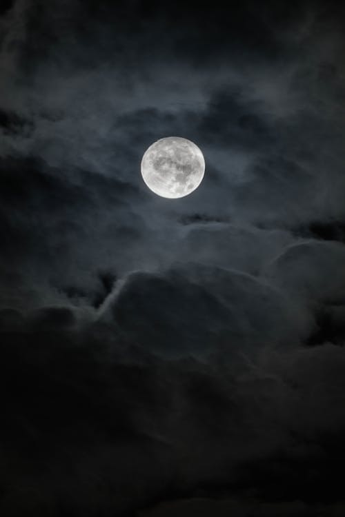 Free Full Moon in the Sky Stock Photo