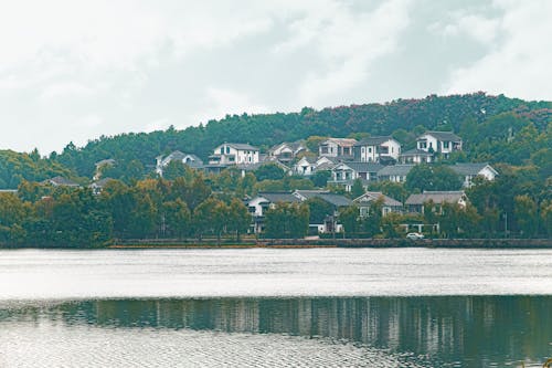 Town Houses in Forest on Hill by Lake
