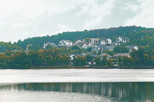 Kostenloses Stock Foto zu bäume, gebäude, häuser