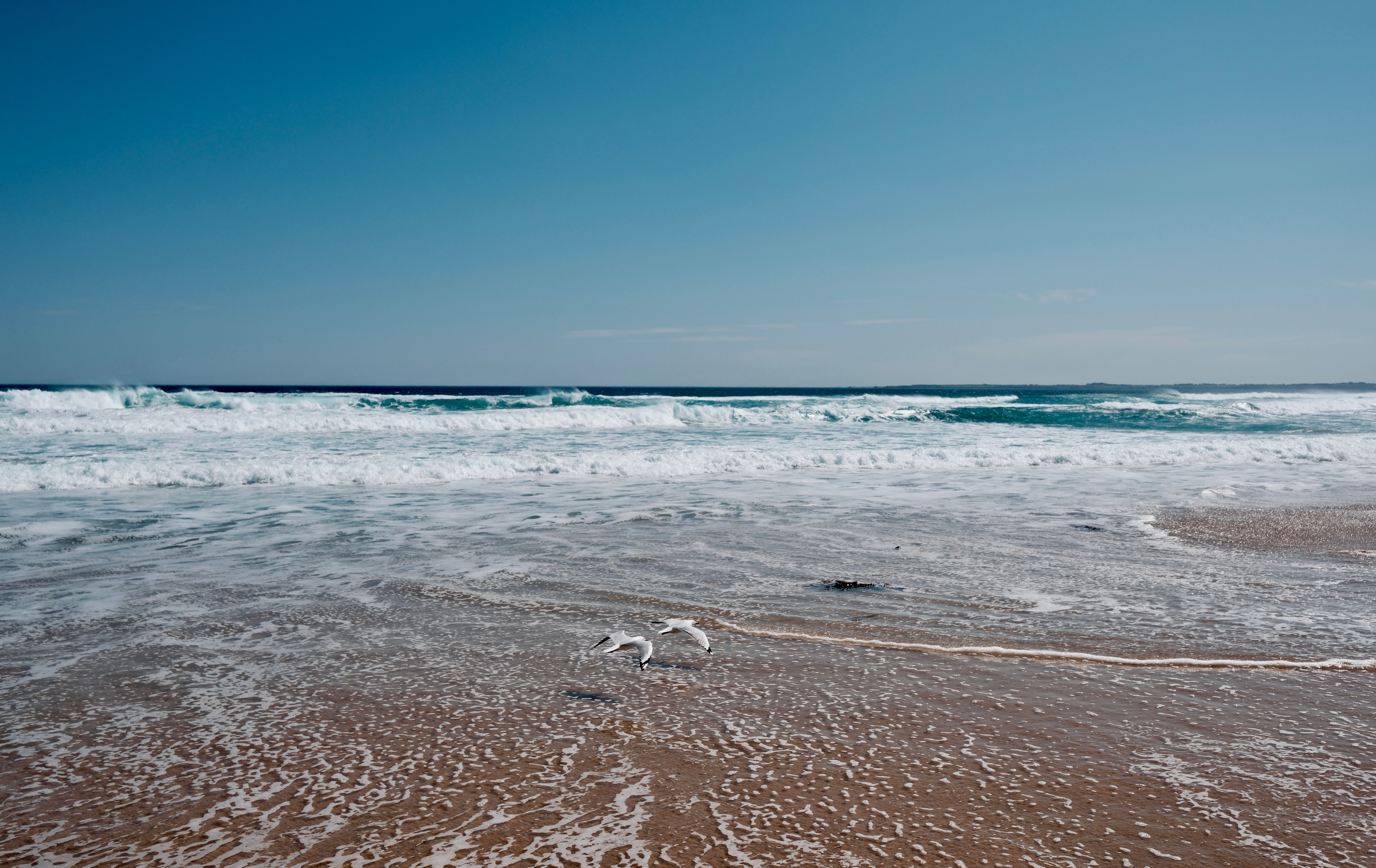 Tynemouth Longsands