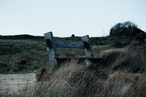 Foto profissional grátis de abandonado, assento, campina