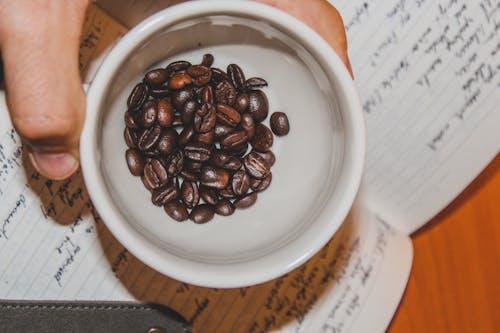 caf, cofee, coffie 的 免费素材图片