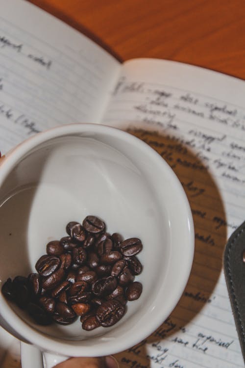 afrika kahvesi, Afrikalı, ağırlık içeren Ücretsiz stok fotoğraf