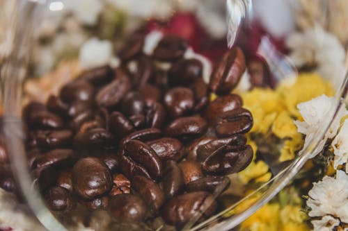 Free stock photo of abstract, african, africancoffee