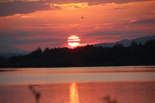 Ilmainen kuvapankkikuva tunnisteilla auringonlasku, järvi, kultainen auringonlasku