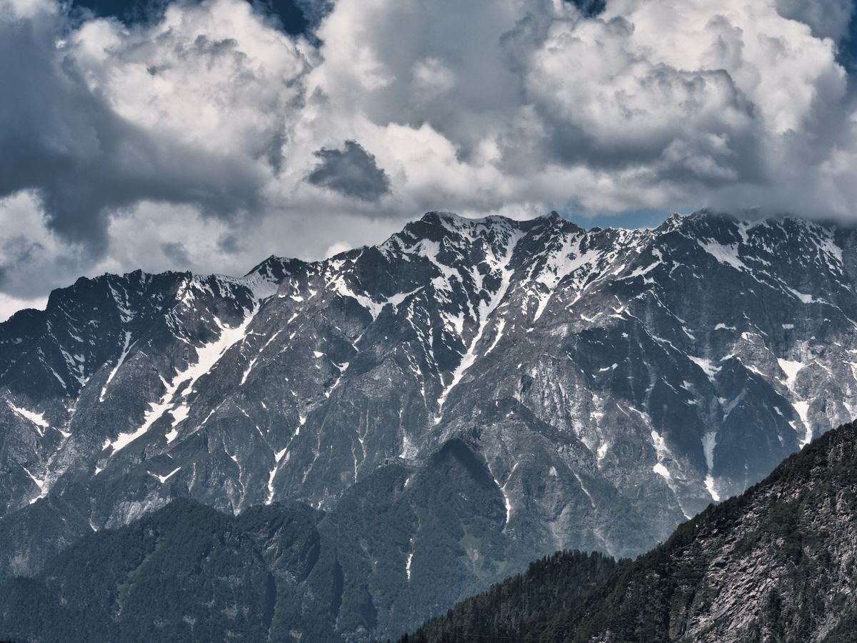 10 Day Jungle Immersive Ayurvedic Panchakarma Detox in Himalayas 1