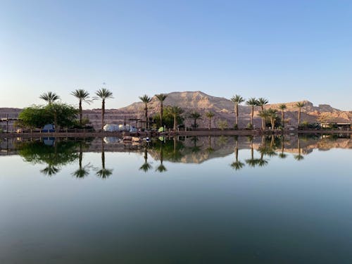 lake and palm in the desert of Timna