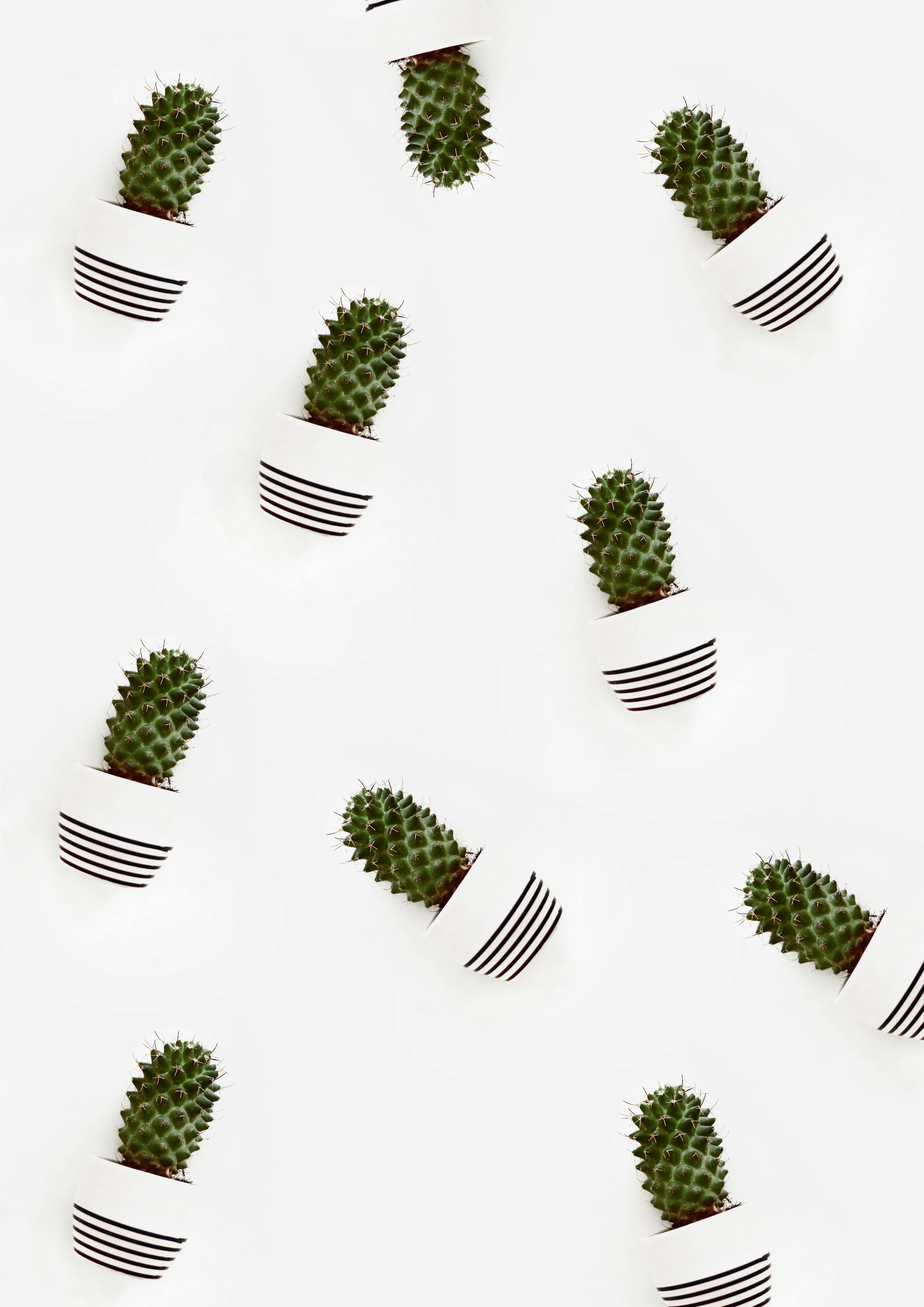 White Wallpaper Photos, Download The BEST Free White Wallpaper Stock Photos & HD Images White Wallpaper Photos, Download The BEST Free White Wallpaper Stock Photos & HD Images