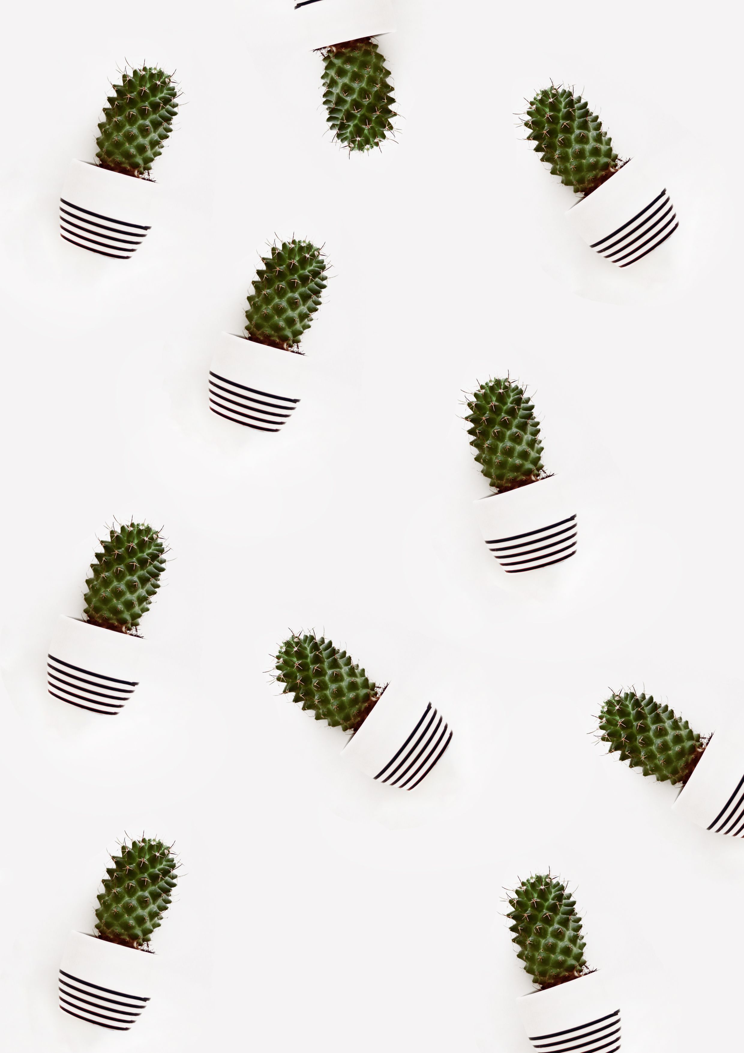 Printable Cactus Image