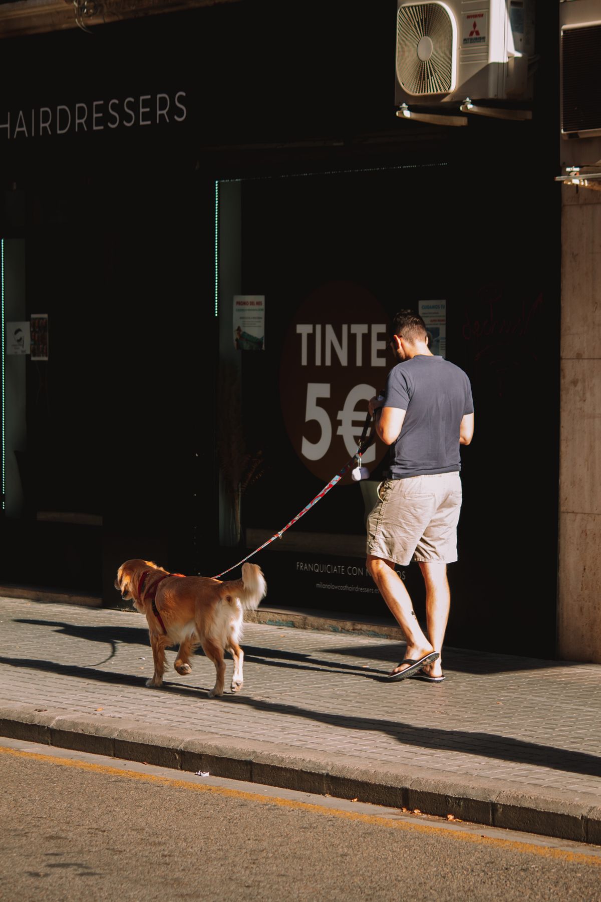 Stop a Dog From Pulling on the - PawPrintHub visual guide 2