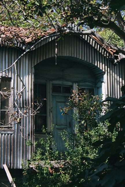 Explore a charming rustic abandoned house with a weathered blue door surrounded by lush greenery.