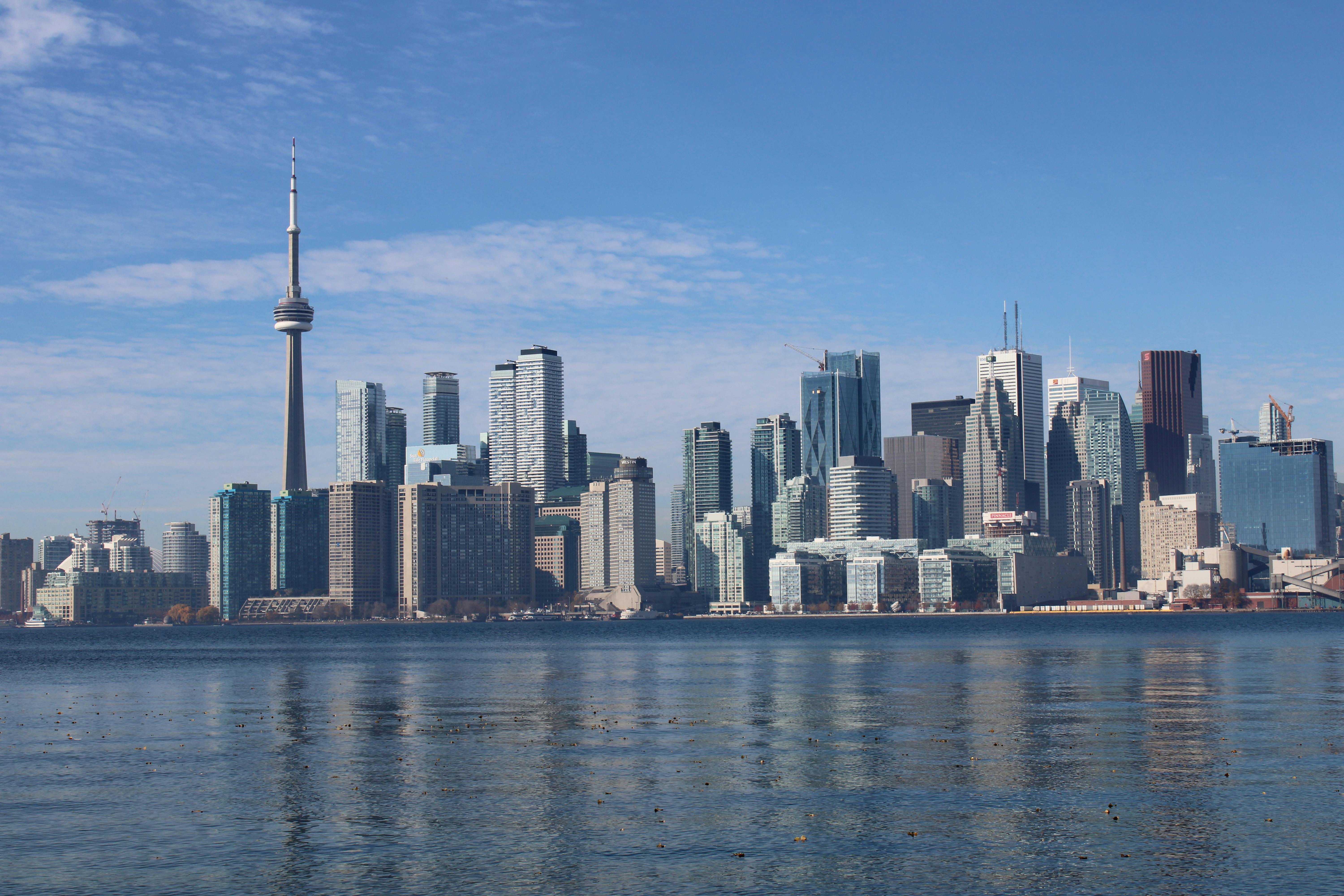 City’s public-opinion poll under way — Photo by alex ohan on Pexels