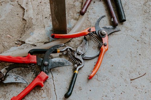 Cutting Manual Tools