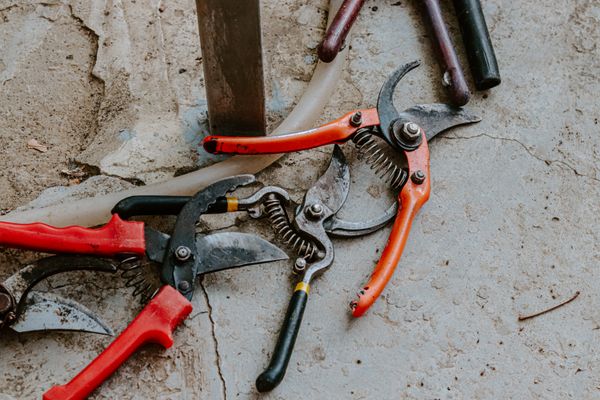 Garden Tool Set (5pc)