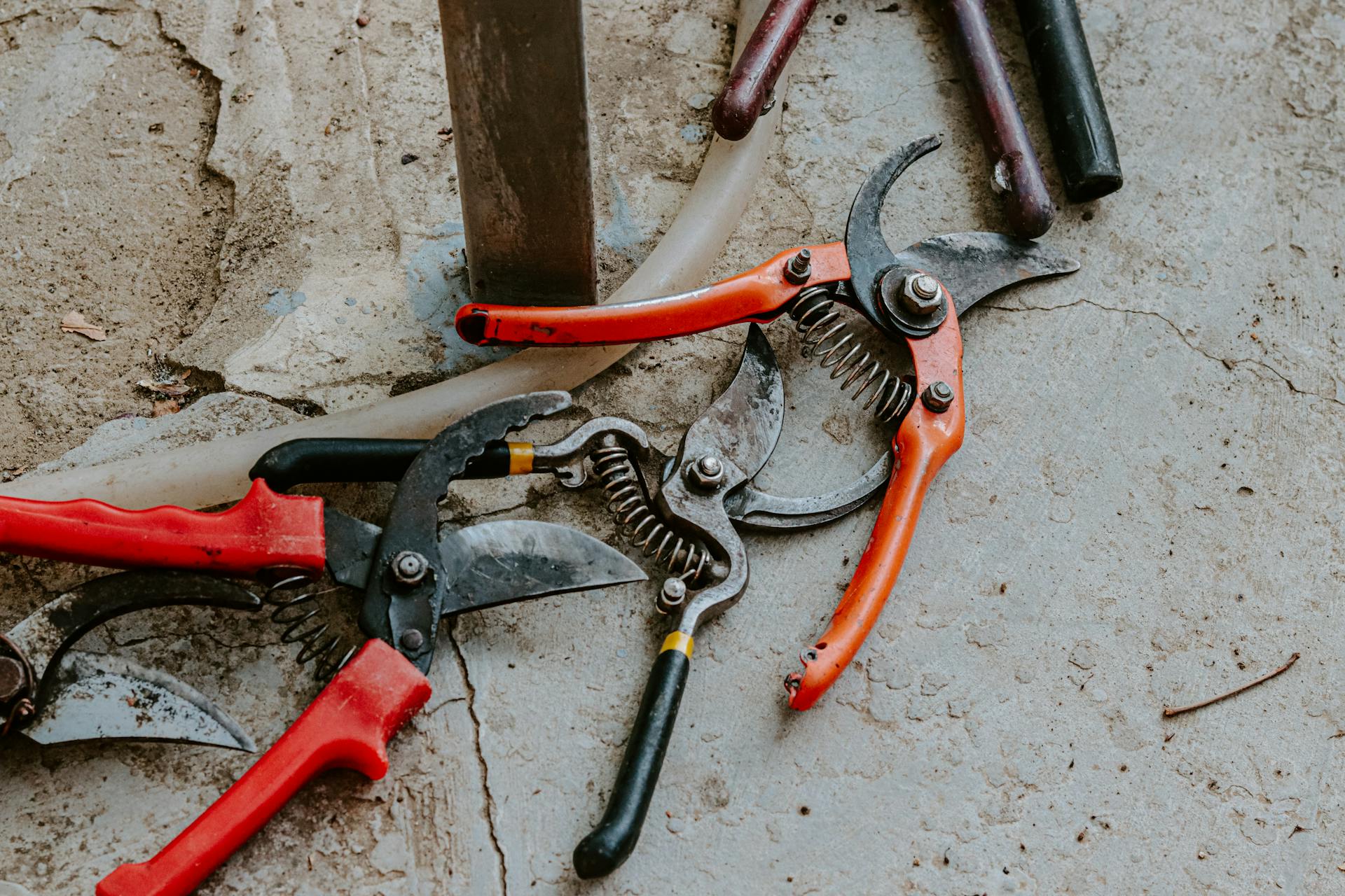 A selection of colorful garden tools arranged on a rough concrete background.