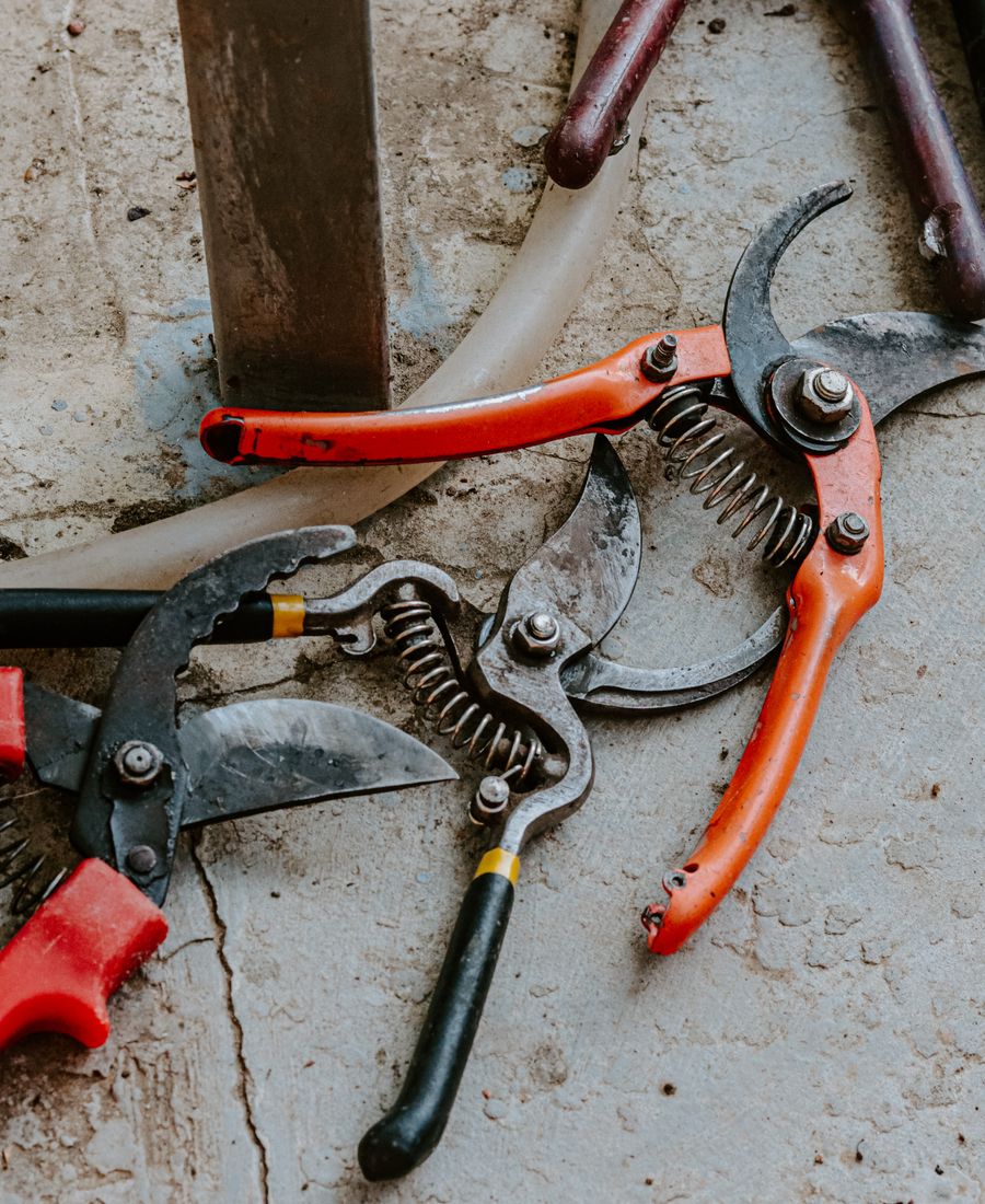 Professional pruning shears