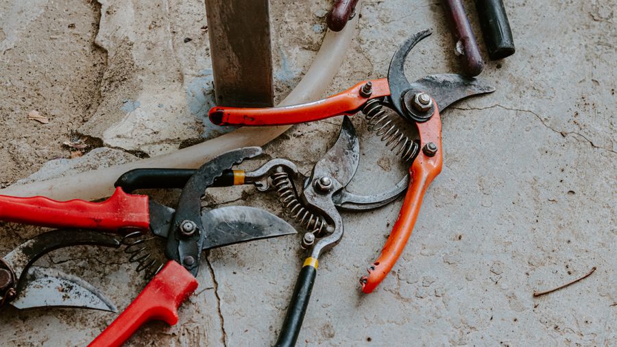Frugal Winterizing: The Five-Dollar Fixes That Pay Off Most