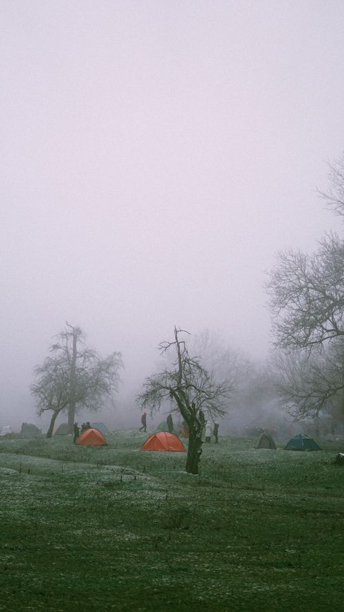 Free A misty camping scene with colorful tents amid winter trees creates a tranquil atmosphere. Stock Photo
