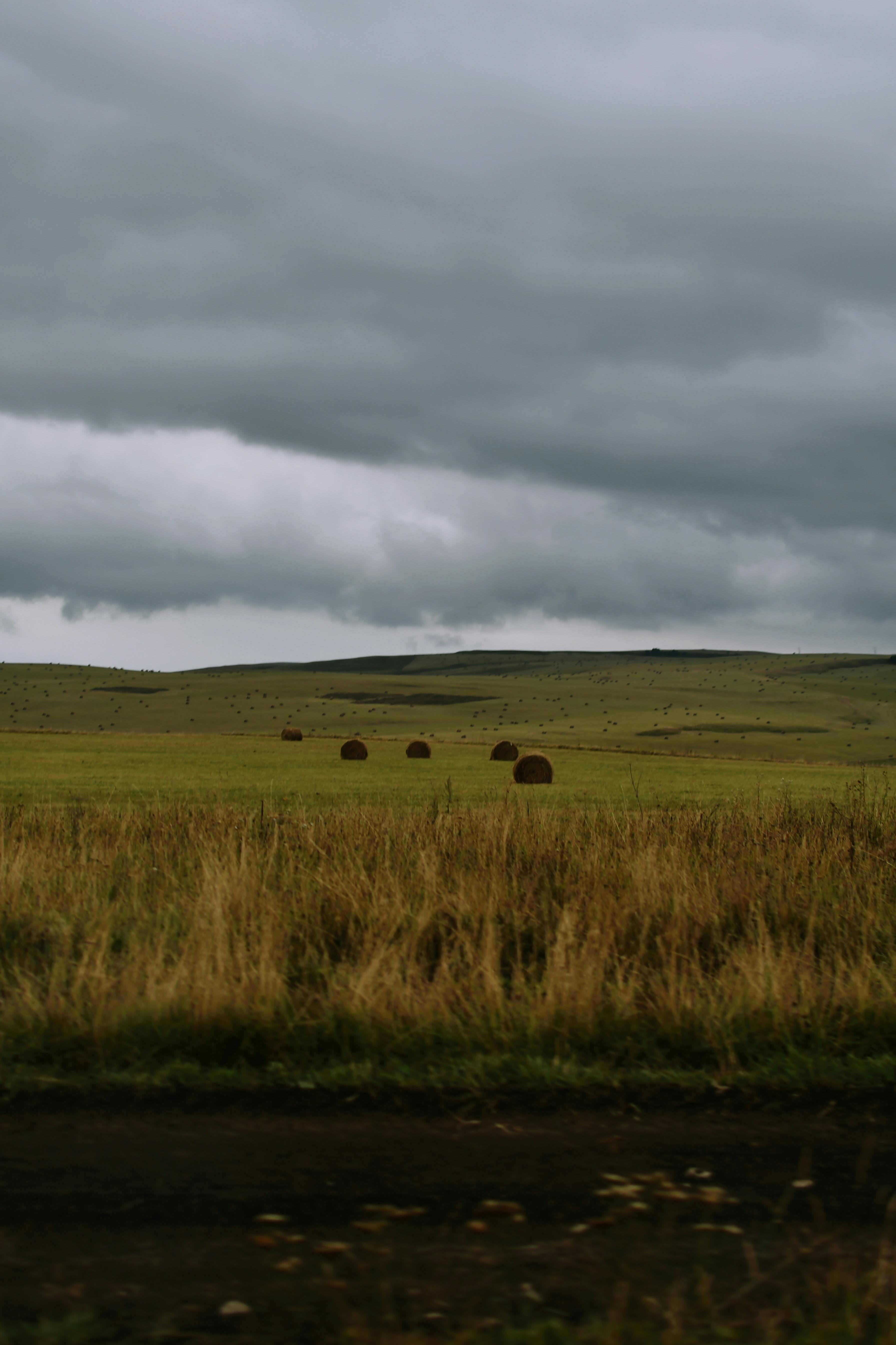 Foto profissional gratuita de agricultura, amplo espaço aberto, ao ar ...
