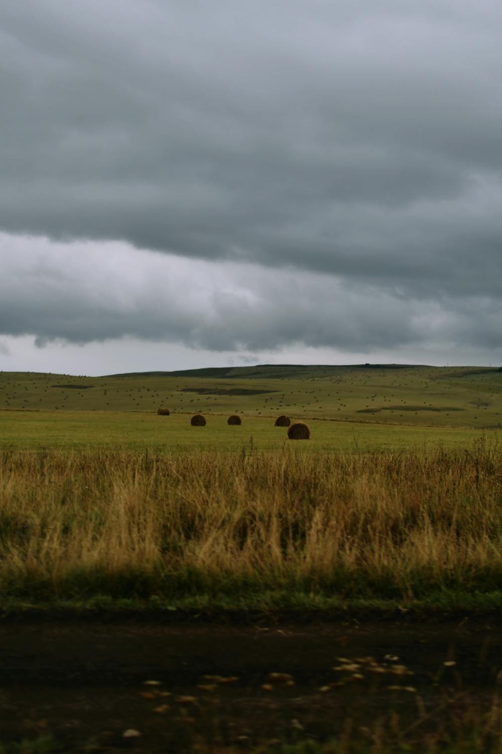 Foto profissional gratuita de agricultura, amplo espaço aberto, ao ar ...