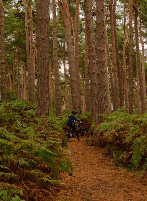Man Riding on a Bike in a Forest 