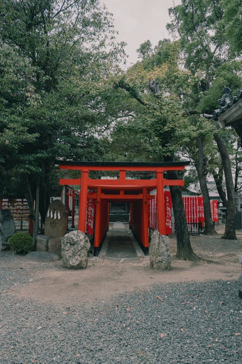 게이트, 공원, 빨간의 무료 스톡 사진